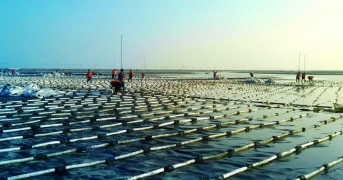 China Tianjin Eco-City Linhai New City Blowing Filling District 4567 Dongdi Road의 서쪽에있는 리필 및 진공 프리 압박 안전 사이트 추천